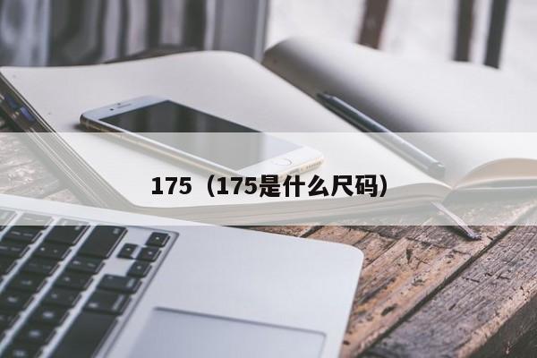 175（175是什么尺码）